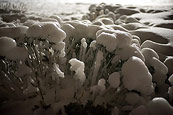 More Icy Niagara Shots